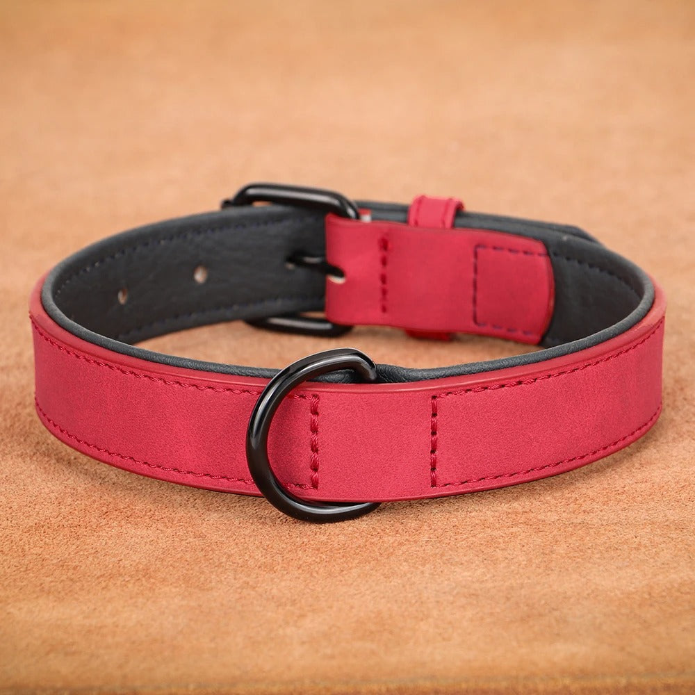 RoyalCanis - Collier Premium Cuir pour Grands Chiens