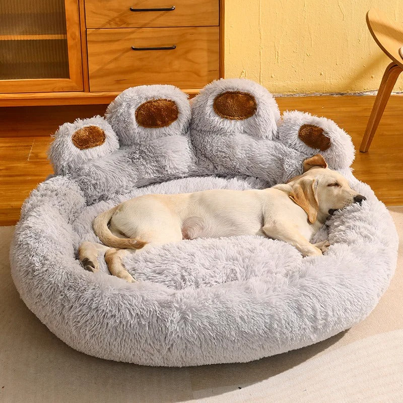 PawDream - Coussin Patte d'Ours Premium pour Animaux