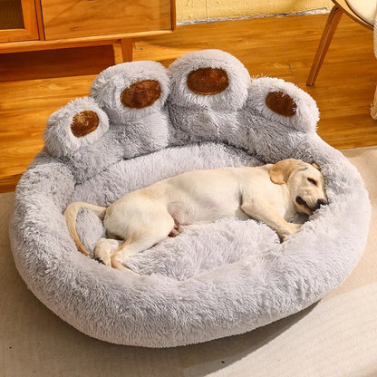 PawDream - Coussin Patte d'Ours Premium pour Animaux