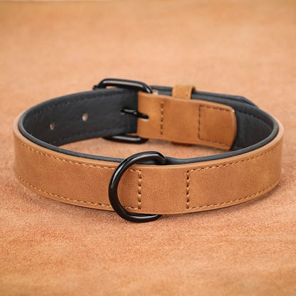 RoyalCanis - Collier Premium Cuir pour Grands Chiens