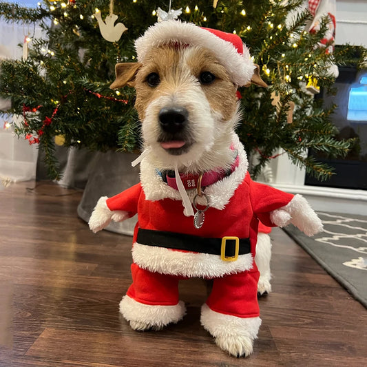 Costume de Noël pour Chien et Chat | Déguisement Père Noël | Tenues Festives XS à XL | Vêtement Animaux de Compagnie | Collection Noël 2024