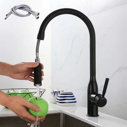 Robinet de Cuisine avec Douchette FlexiFlow