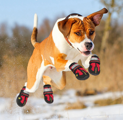 Pawprotect | Bottes de Protection Canine Tout-Terrain