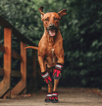 Pawprotect | Bottes de Protection Canine Tout-Terrain